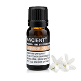 10 ml Jasmine Dilute Essential Oil — clean white packshot