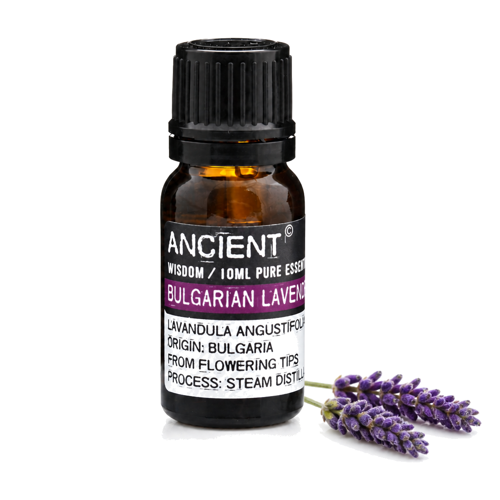 Bulgarian Lavender Essential Oil 10ml — clean white packshot