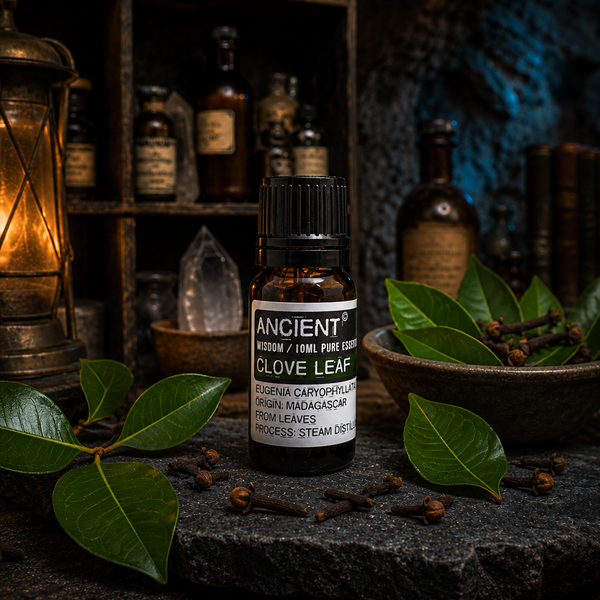 10 ml Clove Leaf Essential Oil — apothecary hero