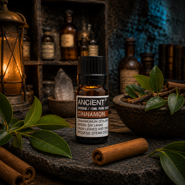 10 ml Cinnamon Essential Oil — apothecary hero