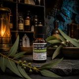 10 ml Eucalyptus Essential Oil — apothecary hero