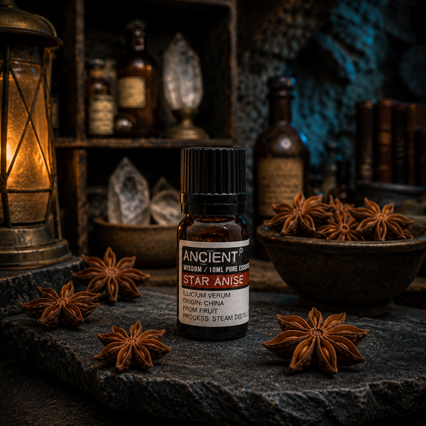 10 ml Aniseed China Star (Star Anise) — apothecary hero