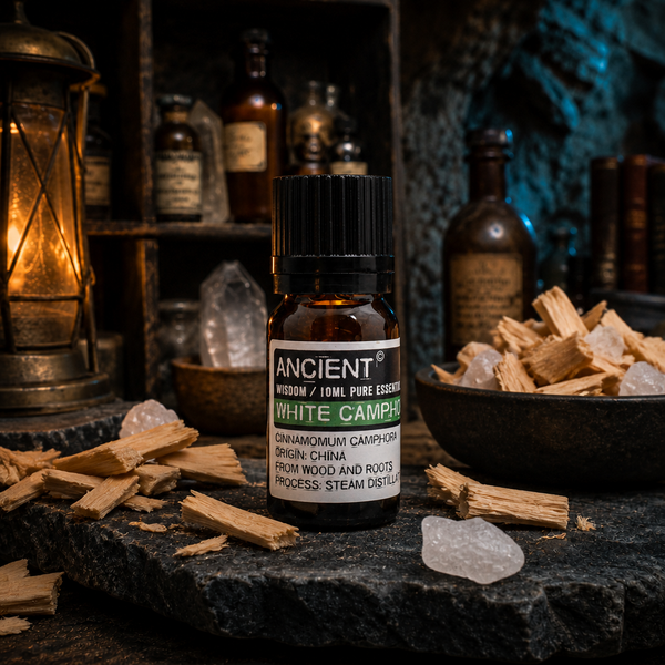 10 ml White Camphor Essential Oil — apothecary hero