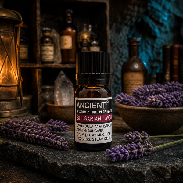 Bulgarian Lavender Essential Oil 10ml — apothecary hero