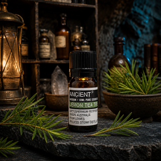 Lemon Tea Tree Essential Oil