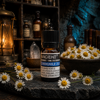 Chamomile (Dilute) Essential Oil