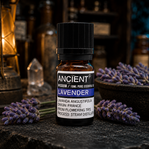 10 ml Lavender Essential Oil — apothecary detail