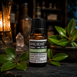 10 ml Ravensara Essential Oil — apothecary detail