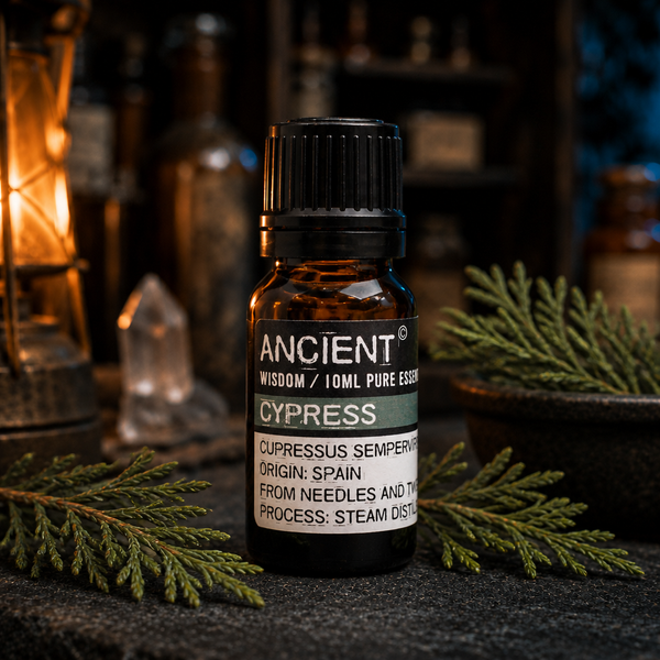 10 ml Cypress Essential Oil — apothecary detail
