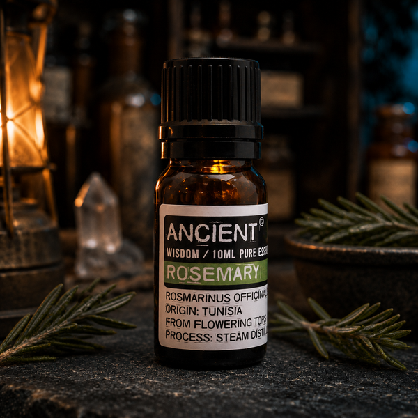10 ml Rosemary Essential Oil — apothecary detail