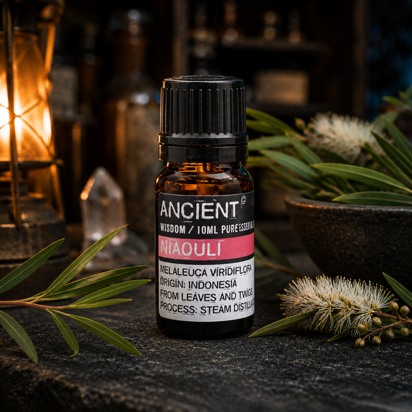 10 ml Niaouli Essential Oil — apothecary detail