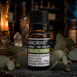 10 ml Eucalyptus Essential Oil — apothecary detail