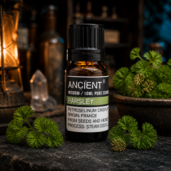 10 ml Parsley Essential Oil — apothecary detail
