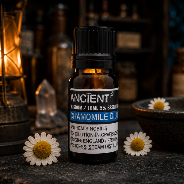 10 ml Chamomile Roman (D) Essential Oil — apothecary detail