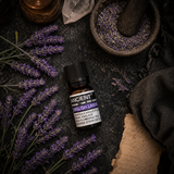 English Lavender Essential Oil 10ml — overhead lifestyle flat lay