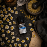 10 ml Chamomile Roman (D) Essential Oil — overhead lifestyle flat lay