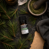 10 ml Pine Sylvestris (Scots Pine) Essential Oil — overhead lifestyle flat lay