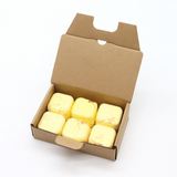 Focus Booster Shower Steamers · packshot