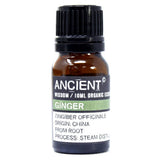 Ginger Organic Essential Oil bottle on a clean white background