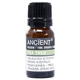 Tea Tree Organic Essential Oil bottle on a clean white background