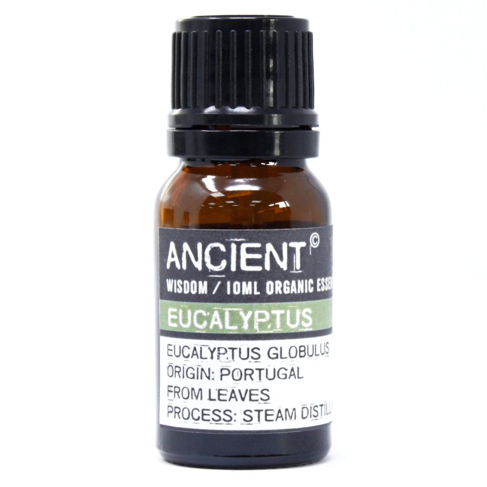 Eucalyptus Organic Essential Oil bottle on a clean white background