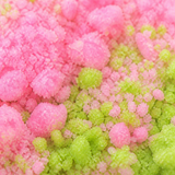 Retro Bath Dust · macro