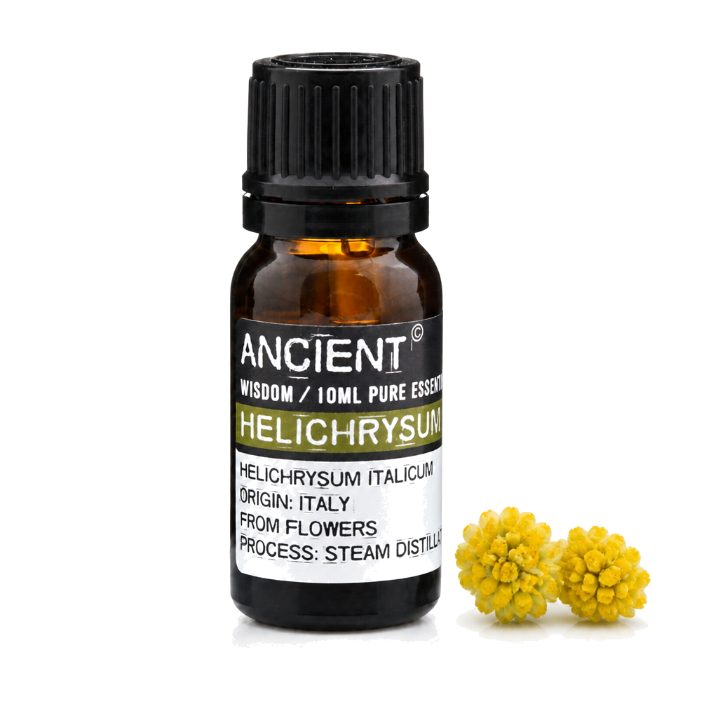 Helichrysum